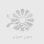 استاد وکیل